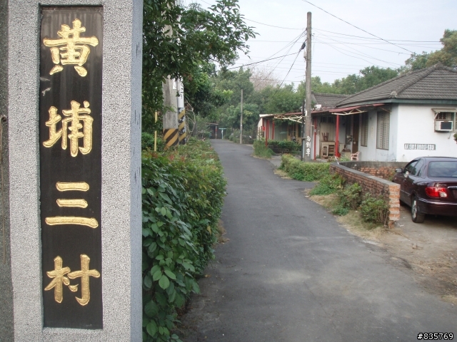 美濃賞花遊記(這次真的讓老菊花開花了)