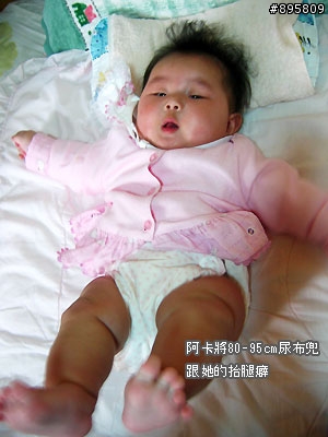 她的屁事關我屁事---布尿布使用心得(BG & akachan)
