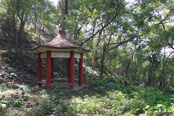 田中:田中森林登山步道