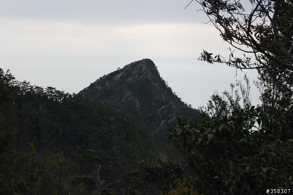 和平:小百岳~稍來山、鳶嘴山、稍來南峰