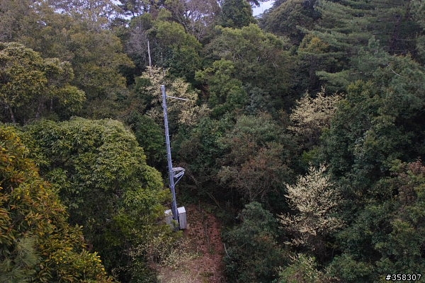和平:小百岳~稍來山、鳶嘴山、稍來南峰