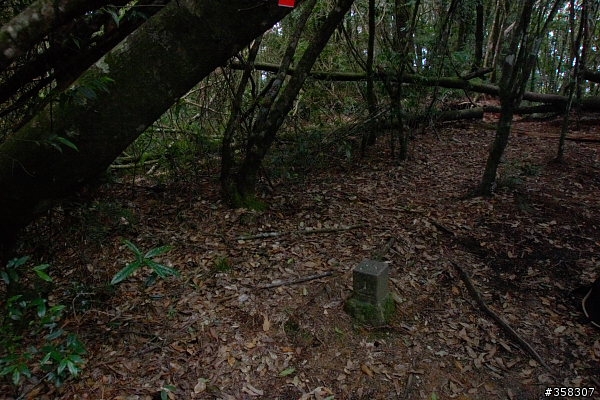 和平:小百岳~稍來山、鳶嘴山、稍來南峰