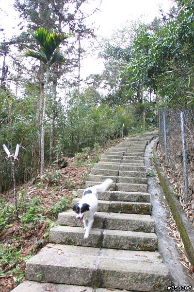 魚池尖登山步道