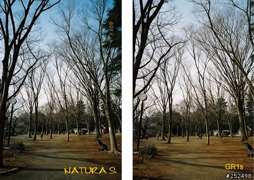 ★☆★NATURA S 24mm F1.9 新品開箱★☆★