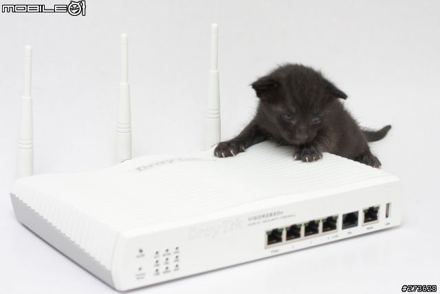 養動物專用 Vigor 2820n