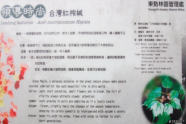 和平:小百岳~稍來山、鳶嘴山、稍來南峰