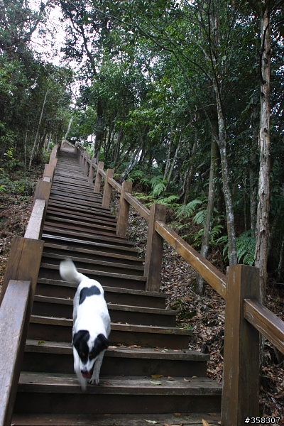魚池尖登山步道