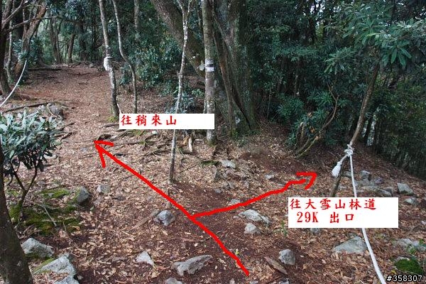 和平:小百岳~稍來山、鳶嘴山、稍來南峰