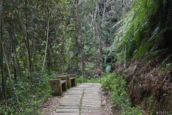 魚池尖登山步道
