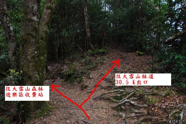 和平:小百岳~稍來山、鳶嘴山、稍來南峰