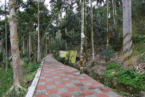 魚池尖登山步道