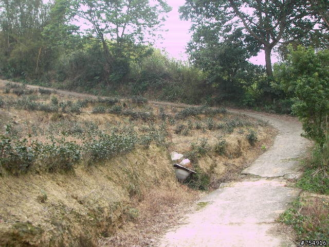 wr5630公路車off road楊梅後山