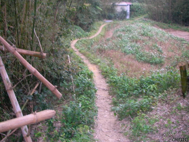wr5630公路車off road楊梅後山