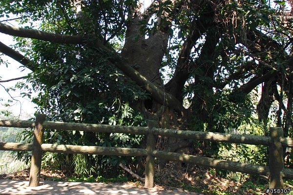 田中:田中森林登山步道