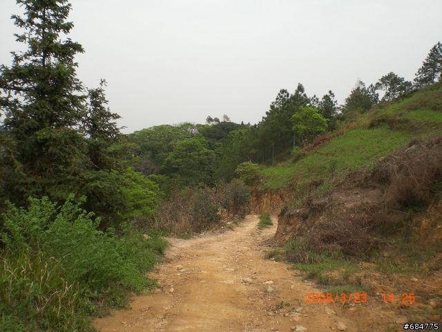 廣東佛山的台勞 騎行佛山第一峰 行程分享