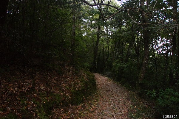 和平:小百岳~稍來山、鳶嘴山、稍來南峰
