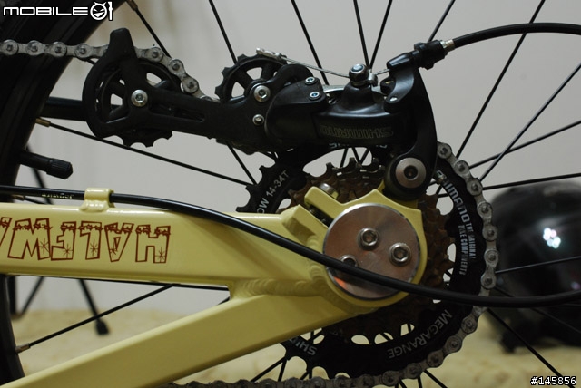 GIANT FD-17 改 SHIMANO 14-34T 飛輪 實物照片 ~ 就只有改飛輪喲