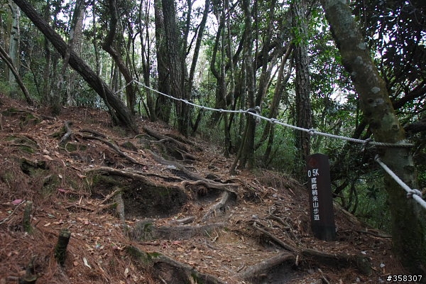 和平:小百岳~稍來山、鳶嘴山、稍來南峰