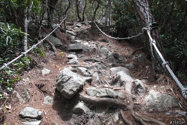 和平:小百岳~稍來山、鳶嘴山、稍來南峰