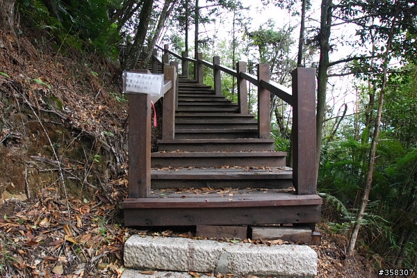 魚池尖登山步道