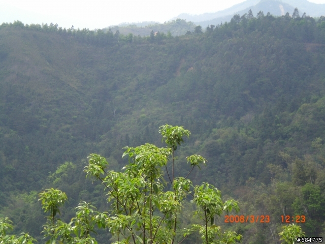 廣東佛山的台勞 騎行佛山第一峰 行程分享