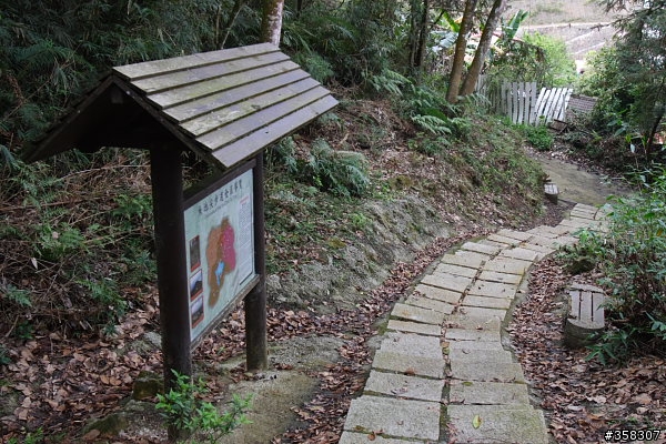 魚池尖登山步道