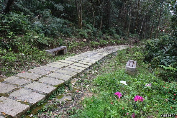 魚池尖登山步道
