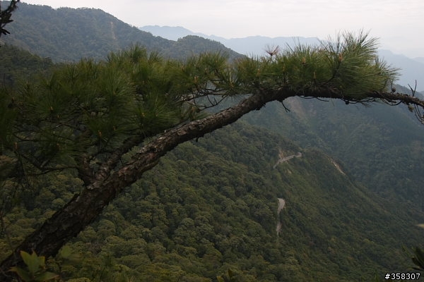 和平:小百岳~稍來山、鳶嘴山、稍來南峰