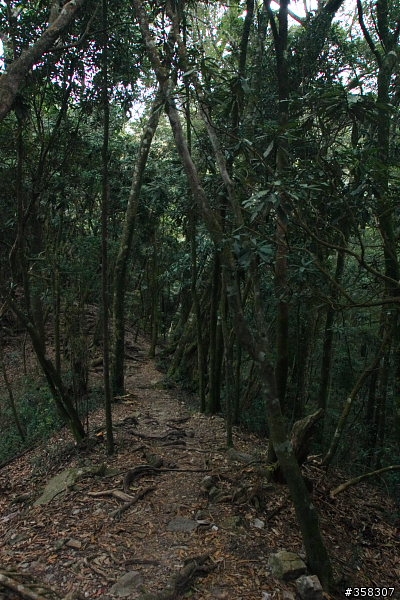 和平:小百岳~稍來山、鳶嘴山、稍來南峰