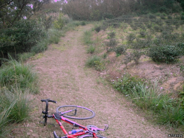 wr5630公路車off road楊梅後山