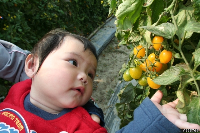 美濃賞花遊記(這次真的讓老菊花開花了)