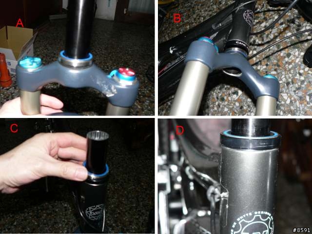 Whyte 46 胎變 + 換骨