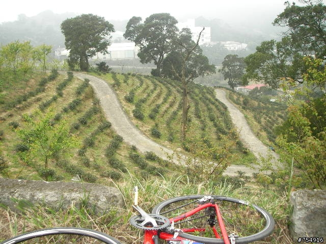 wr5630公路車off road楊梅後山