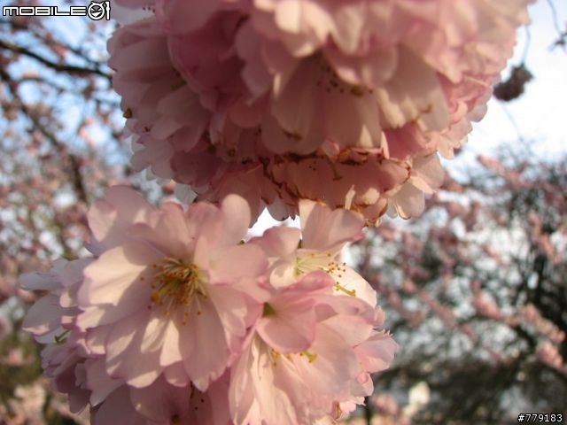 漢堡河港 Part2 2008/04/01更新 更新在第5頁 (請各位大大不吝嗇的盡情批評 小弟我有再去拍一遍)