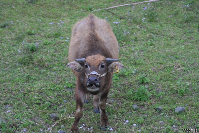 分享台193線(箭英大橋至玉里樂合段)為參加洄澖300k的人加油