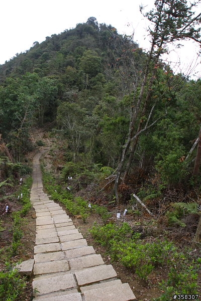 魚池尖登山步道