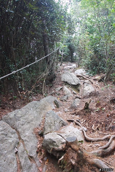 和平:小百岳~稍來山、鳶嘴山、稍來南峰