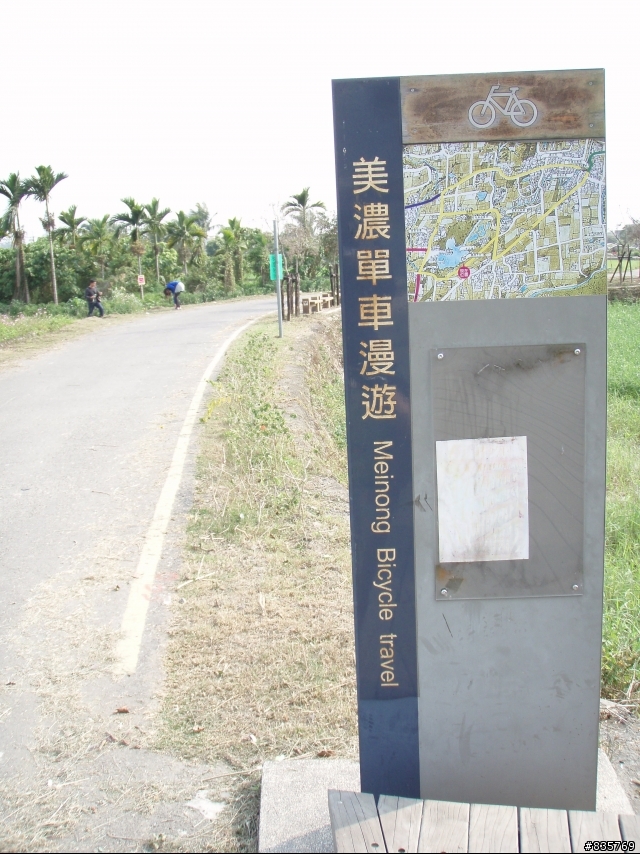 美濃賞花遊記(這次真的讓老菊花開花了)