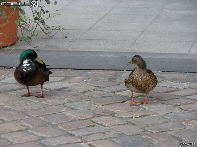 漢堡河港 Part2 2008/04/01更新 更新在第5頁 (請各位大大不吝嗇的盡情批評 小弟我有再去拍一遍)