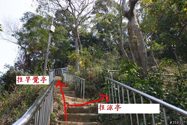 田中:田中森林登山步道