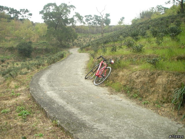 wr5630公路車off road楊梅後山