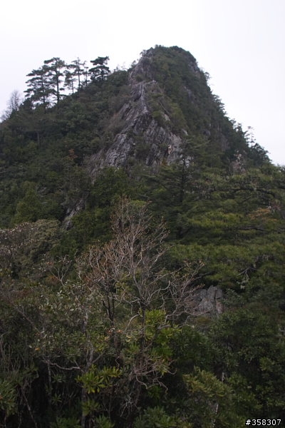 和平:小百岳~稍來山、鳶嘴山、稍來南峰