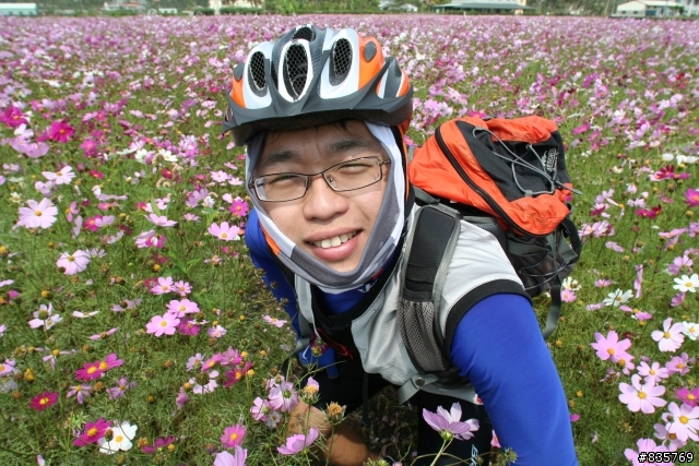 美濃賞花遊記(這次真的讓老菊花開花了)