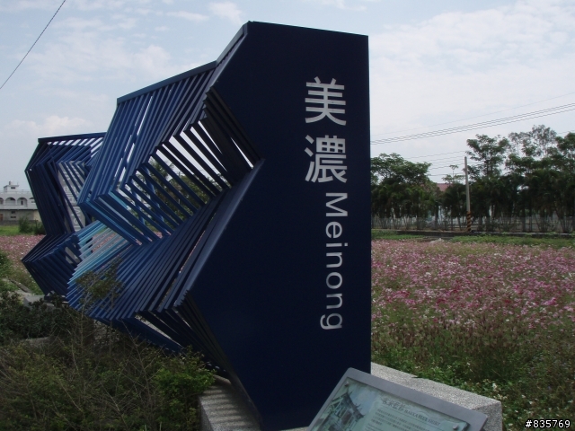 美濃賞花遊記(這次真的讓老菊花開花了)