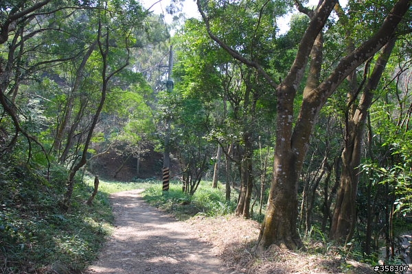 田中:田中森林登山步道