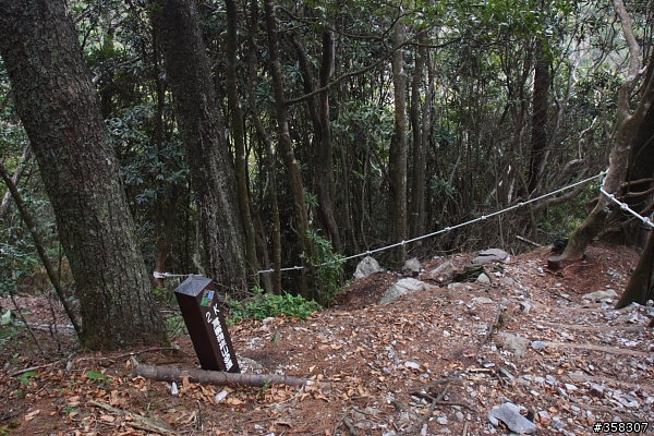 和平:小百岳~稍來山、鳶嘴山、稍來南峰