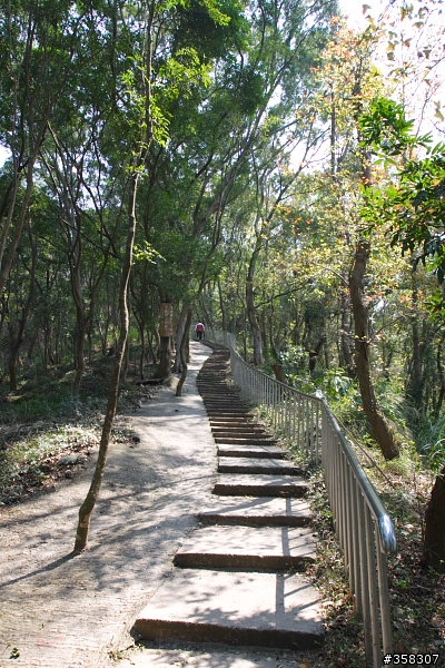 田中:田中森林登山步道