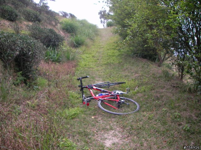 wr5630公路車off road楊梅後山