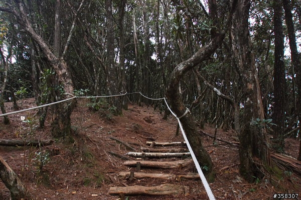 和平:小百岳~稍來山、鳶嘴山、稍來南峰