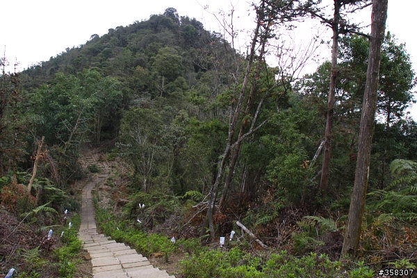 魚池尖登山步道